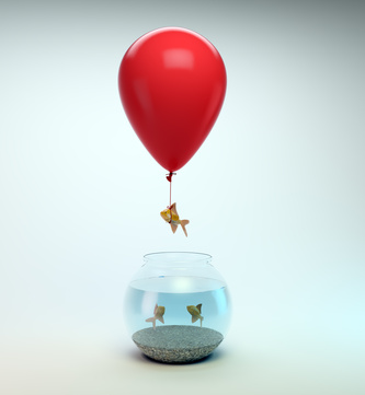 Gold fish flying away from a fishbowl